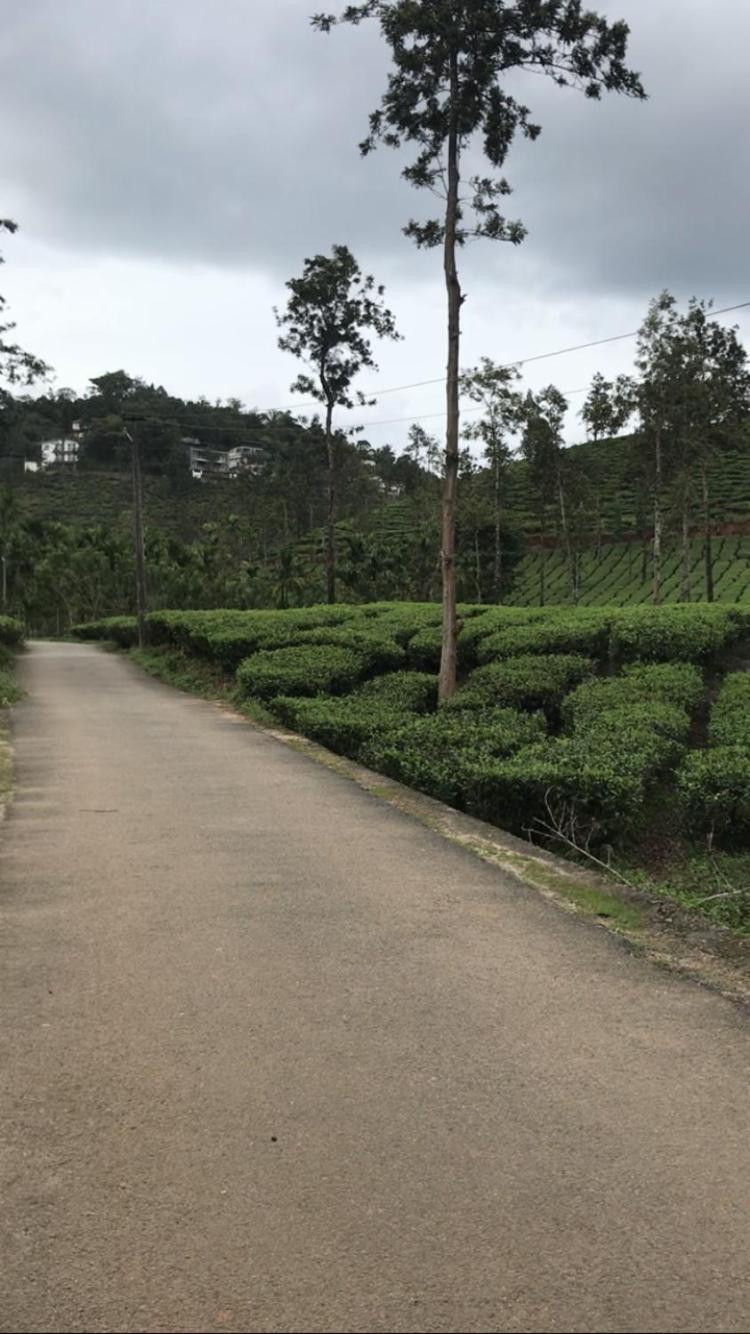 Greenfield Homestay Vythiri Exterior photo